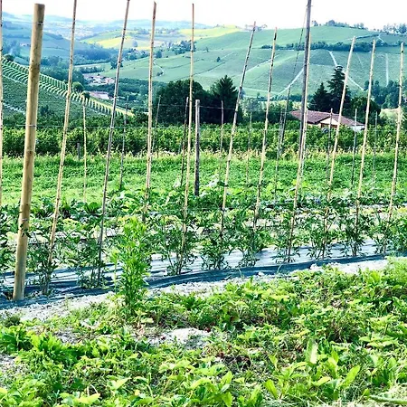 Miaclara Relais Kır Evi Alba (Piedmont)